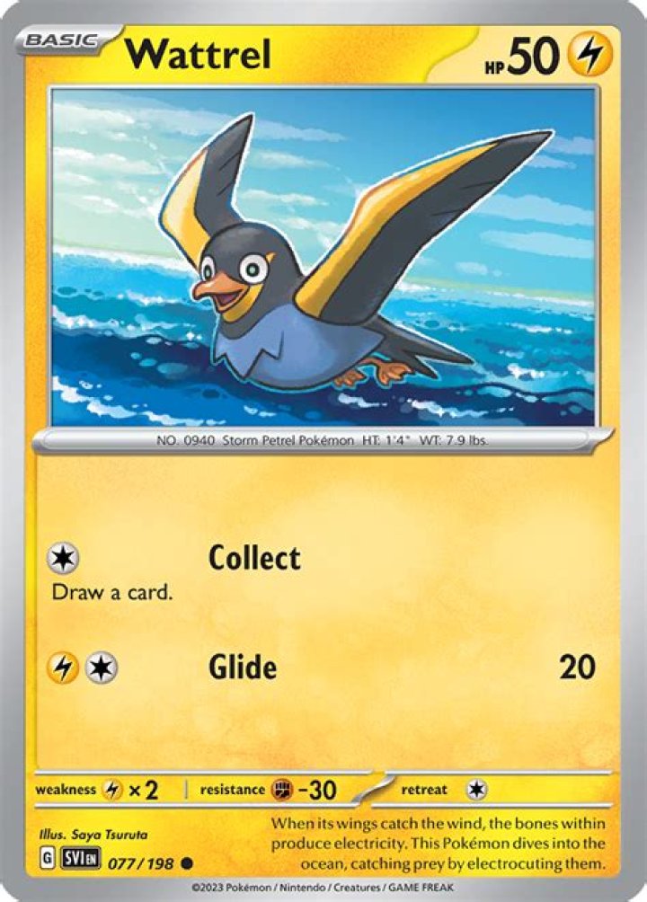 Wattrel is a Brave Bird Wattrel is a Brave Bird