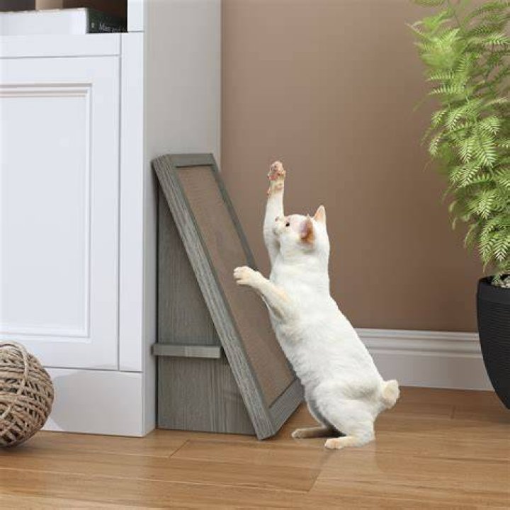 Way Basics zBoard Paperboard Incline Scratcher Cat Toy