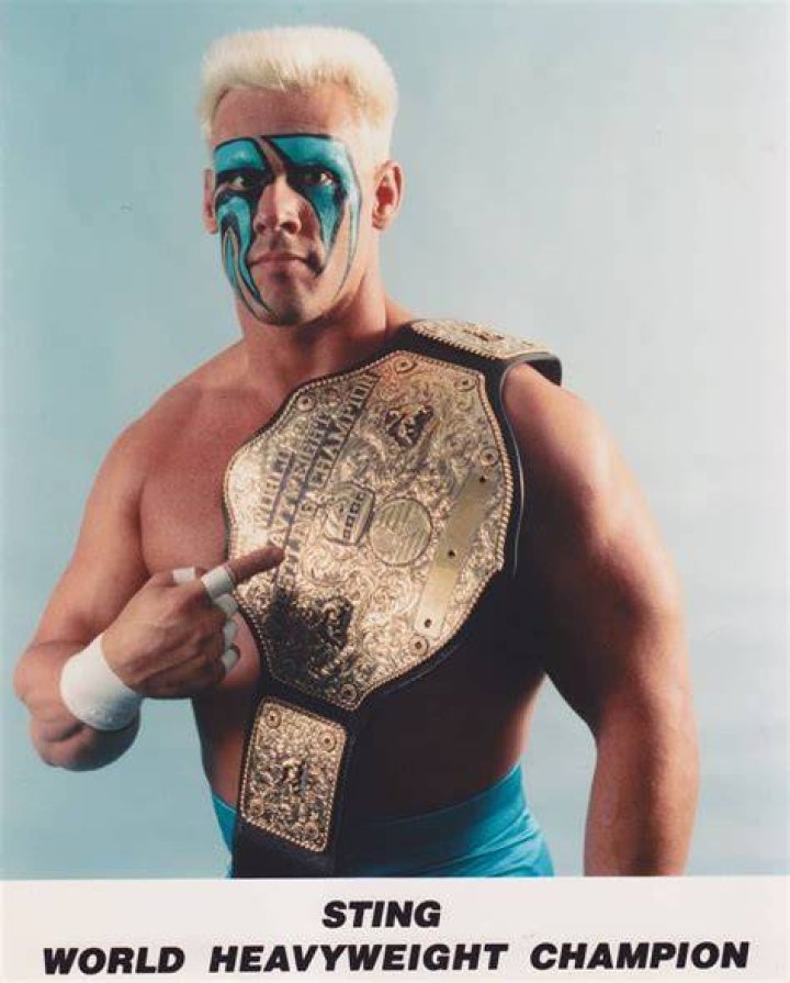 WCW Champion Sting
