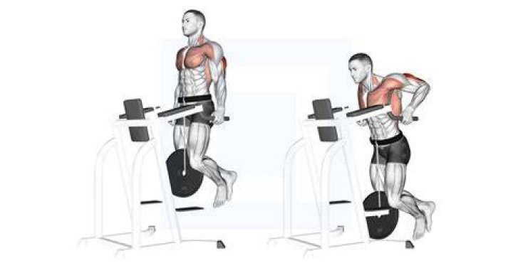 weighted dips weighted dips