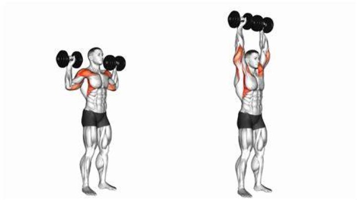 weights, exercise equipment, shoulder, overhead press, kettlebell, arm, dumbbell, physical fitness, standing, muscle,