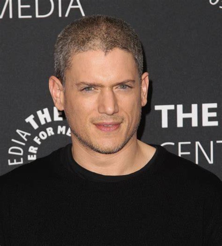 Wentworth Miller Talks About Mental Health Struggles POPSUGAR