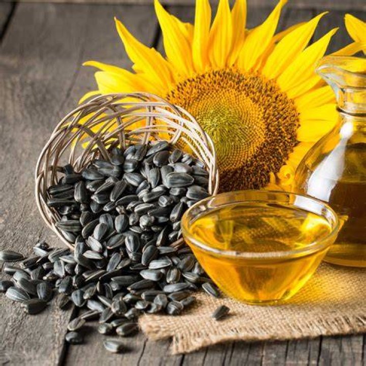 What Are Black Oil Sunflower Seeds?