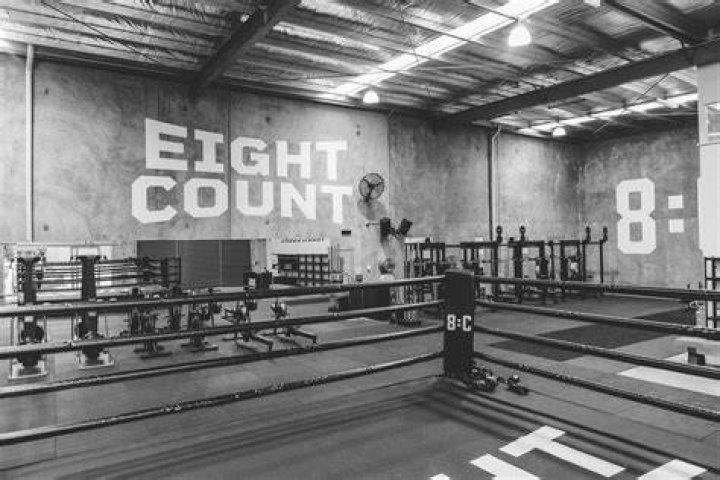 What are the eight boxing punches?