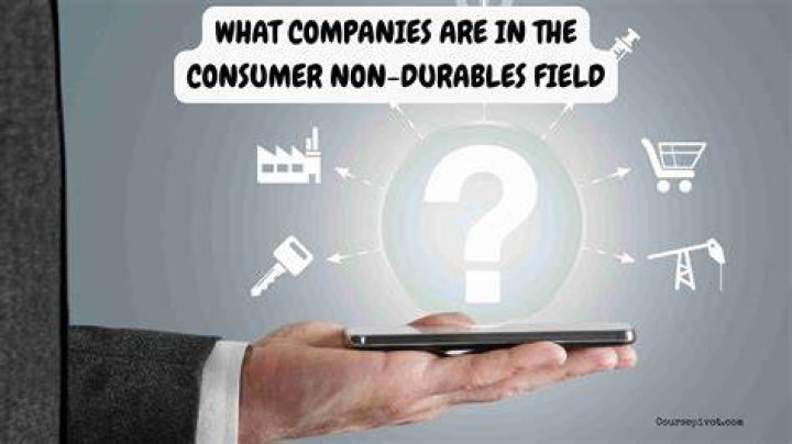 What Companies Are In The Consumer Non Durables Field?