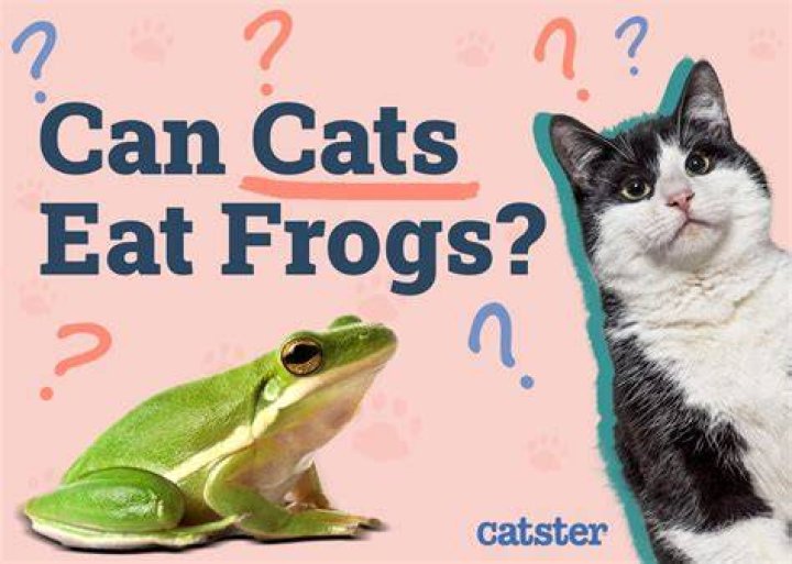What Do Frogs Eat in the Wild & as Pets? Vet-Reviewed Nutritional Info