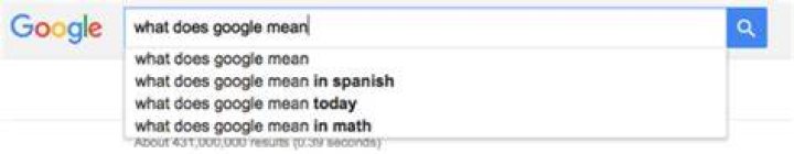What Does Google Mean? Questions