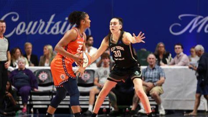 What does WNBA stand for?