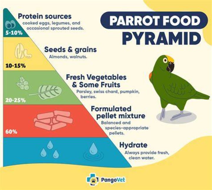What Food Can Macaws Eat? Nutritional Facts & FAQ