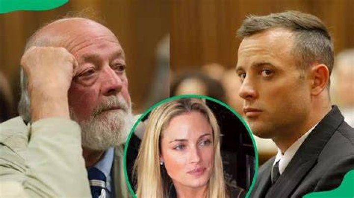 What happened to Barry Steenkamp, Reeva Steenkamp's father?