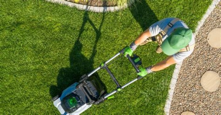 What To Do for a Lawn in May