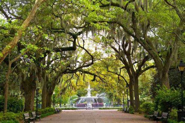When Savannah History Meets Miami Modern Wedding Wedding modern