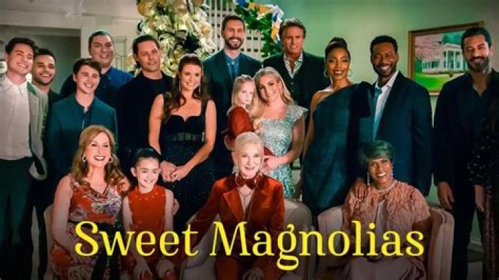 Where You Know the Cast of Sweet Magnolias From