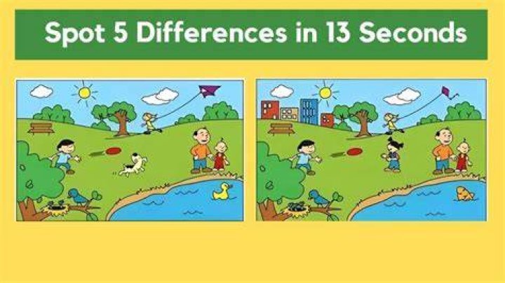 Which is the correct term and are there any differences between the two?
