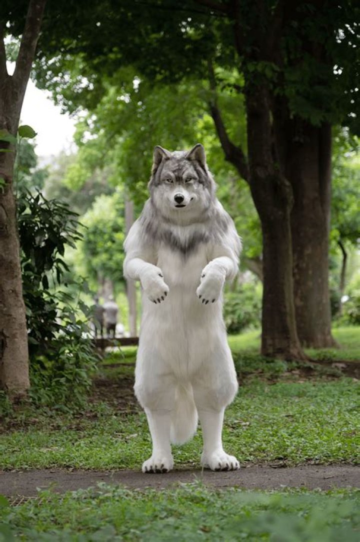 White Wolf Costume