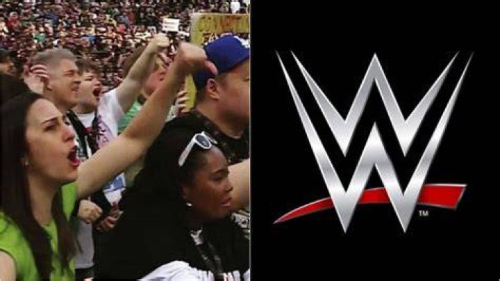 Who Do WWE Fans Dislike More?