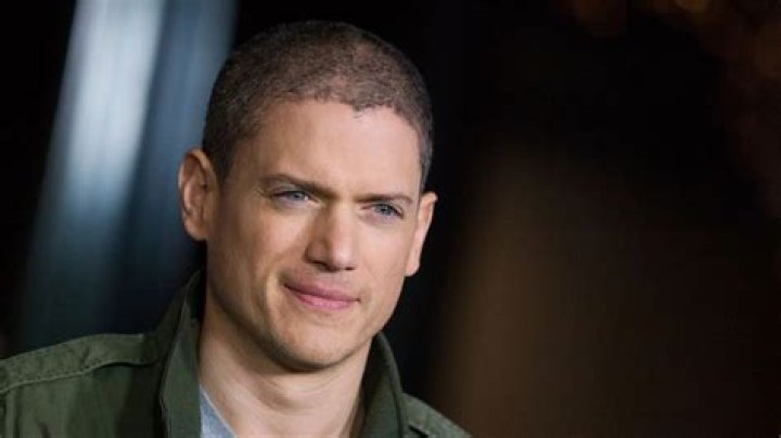 Who is Wentworth Miller's partner Luke MacFarlane?