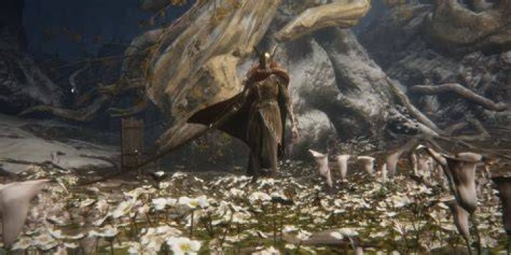 Why Elden Ring's Actual Length Was Hidden Before Release