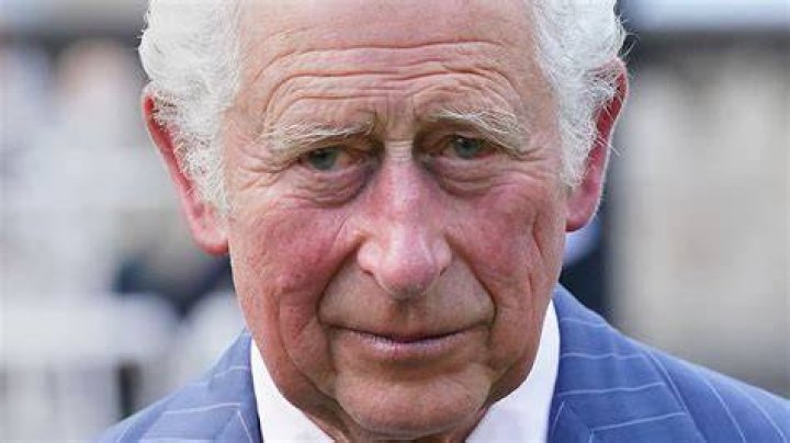 Why King Charles May Be Peeved With His Siblings Now