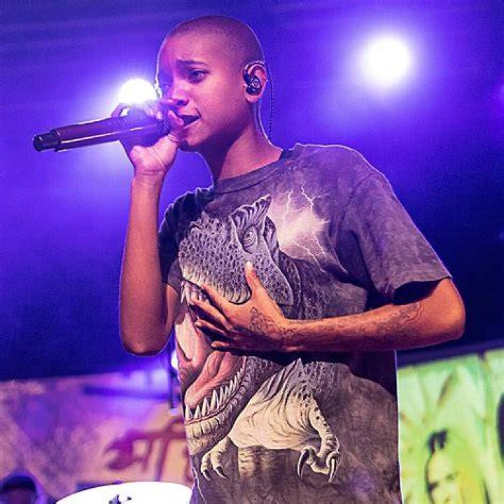 Why Willow Smith Took 
