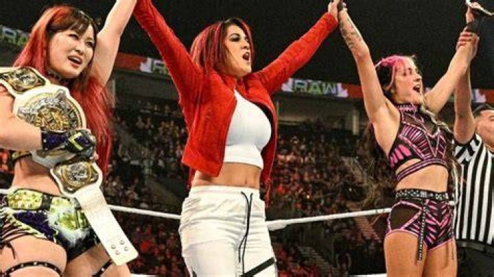 Why WWE's Damage CTRL Has Been A Successful Faction (& Why It's Been A Failure)