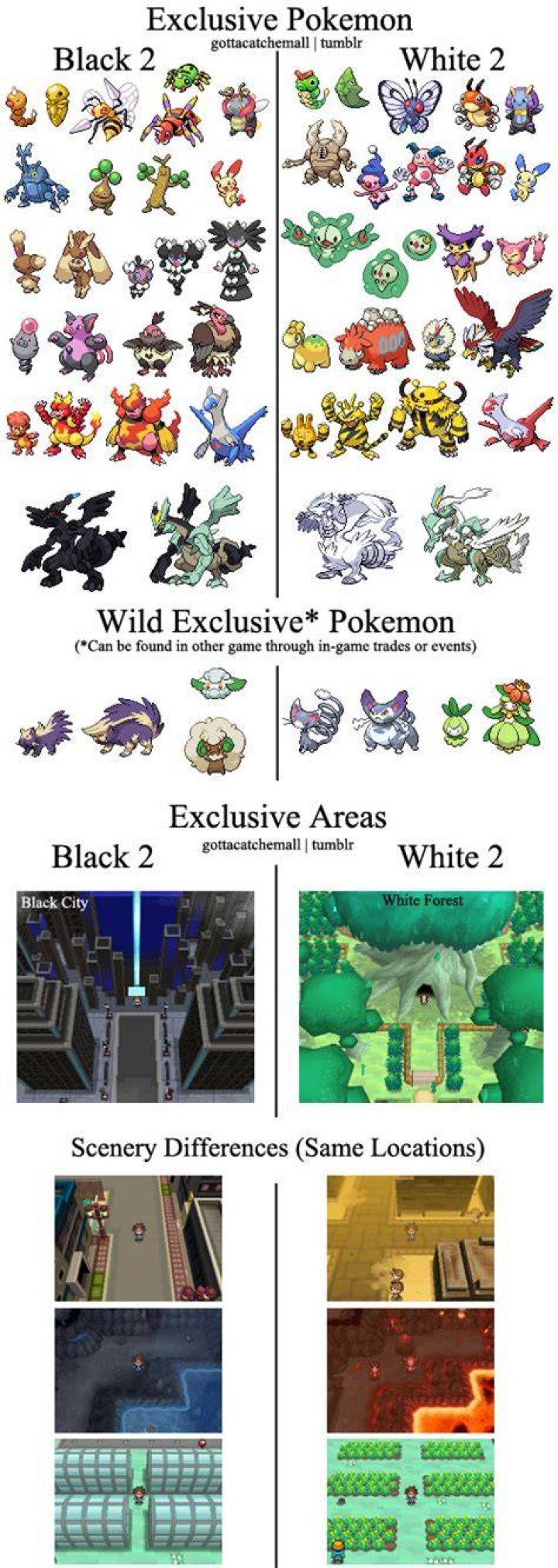 Will there be a MAJOR difference between Black 2 and White 2???