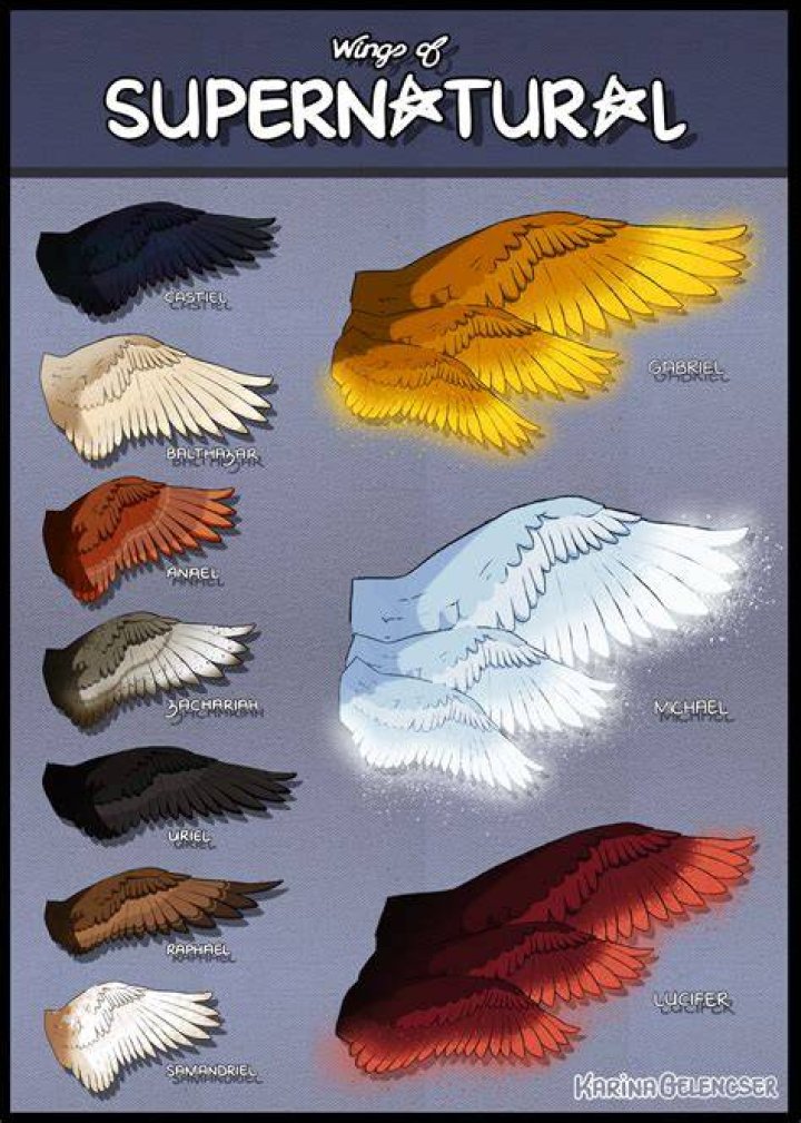 Wing, Angel, Fun, Supernatural creature, Event, Fictional character, Feather, Costume, Smile, Formal wear, 