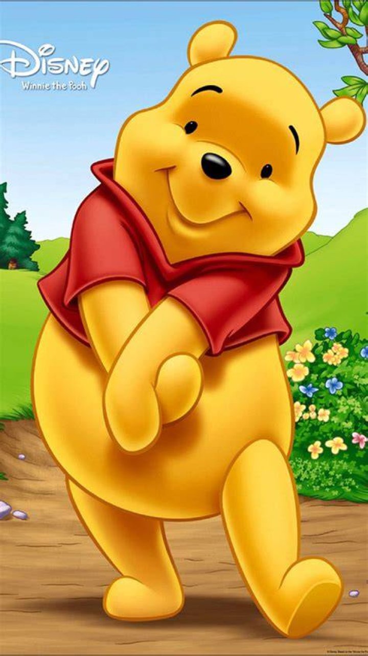 Winnie the Pooh - Disney