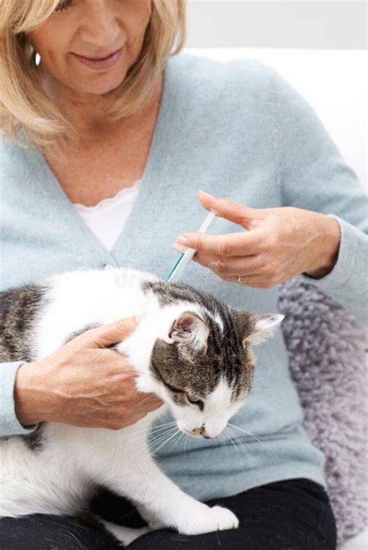 Woman applying flea treatment to dog