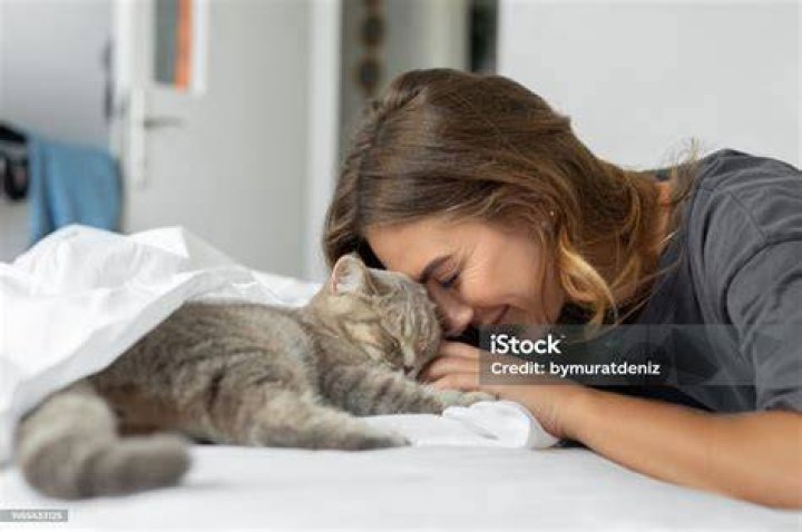 woman resting with cat in sofa at home