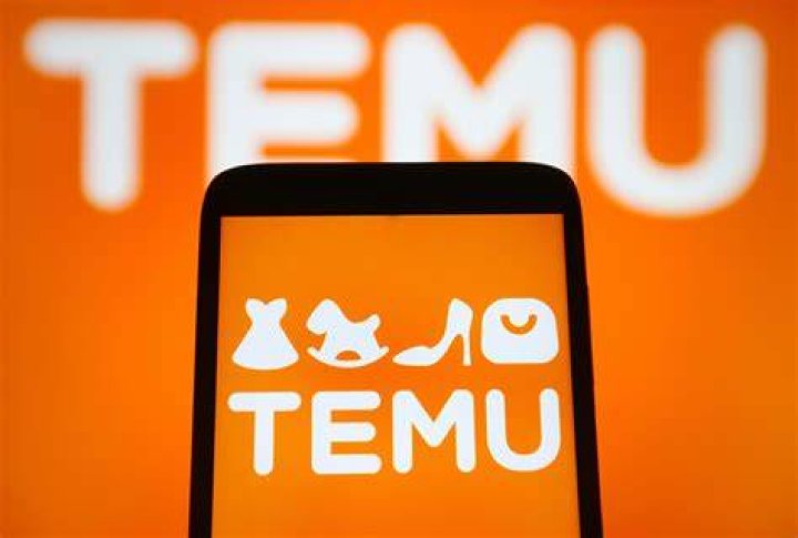 woman shares Temu shopping experience woman shares Temu shopping experience