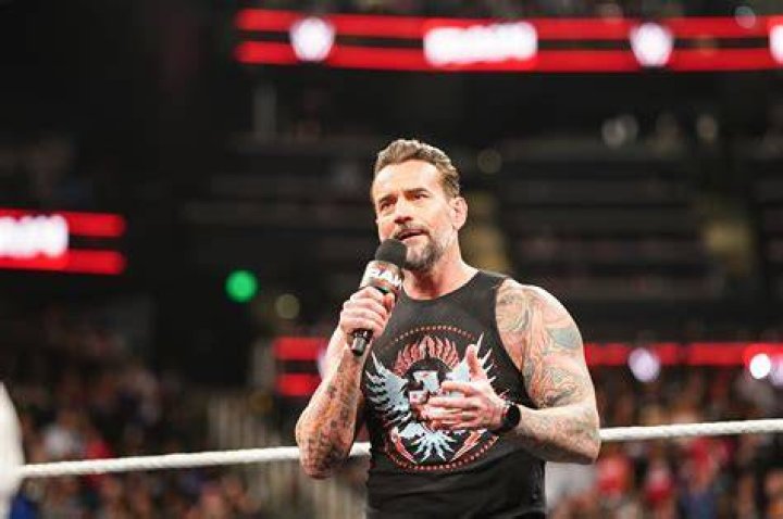 WWE Star CM Punk Explains Why He Doesn't Regret UFC Career