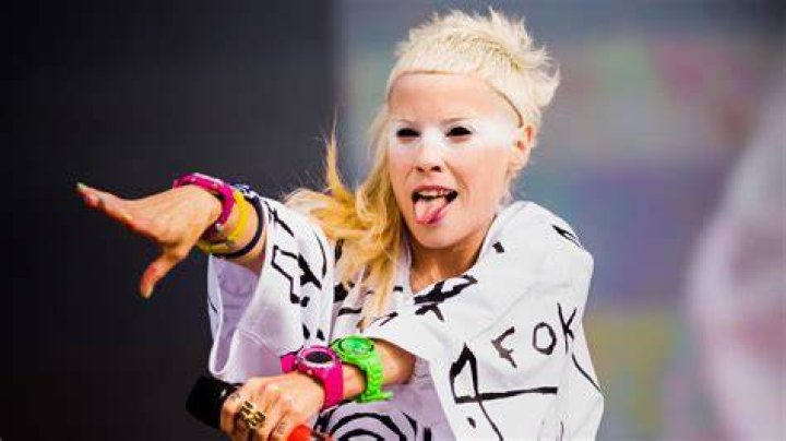 Yolandi Visser net worth