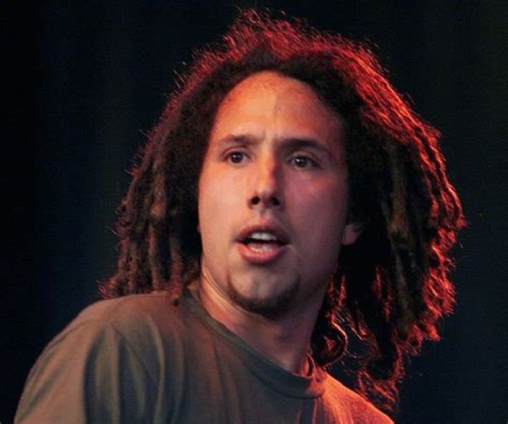 Zack de la Rocha net worth