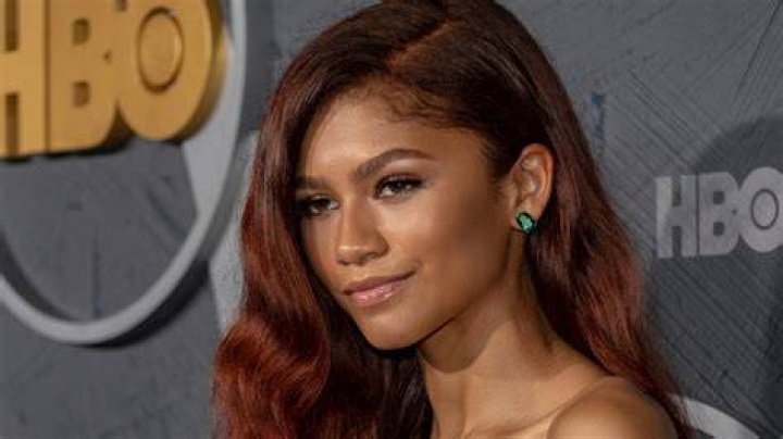 Zendaya's Auburn Hair Color That Fans Envy