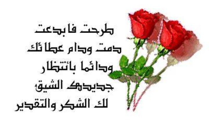 اجمل الردود على المنشورات - موقع فكرة