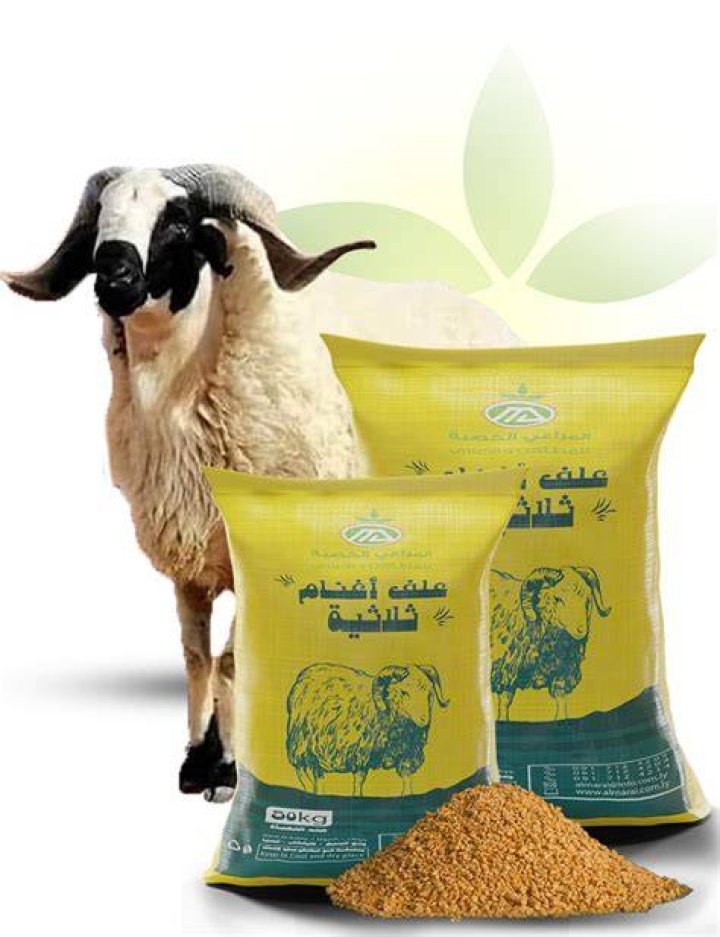 احسن الاعلاف لتسمين الأغنام - موقع فكرة