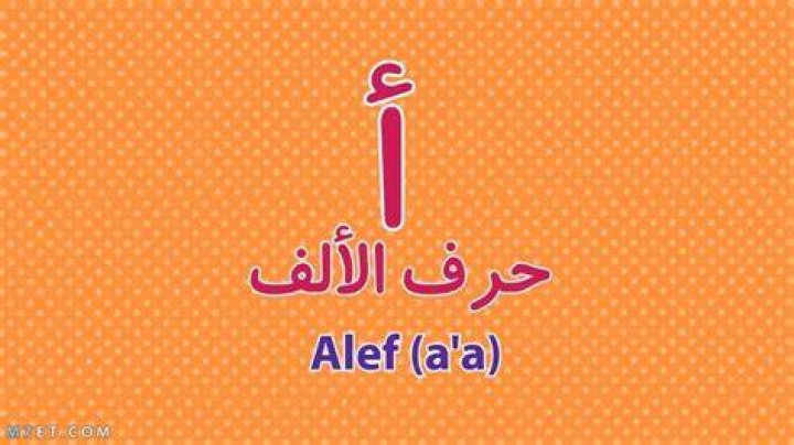 اسم نبات بحرف الألف أ