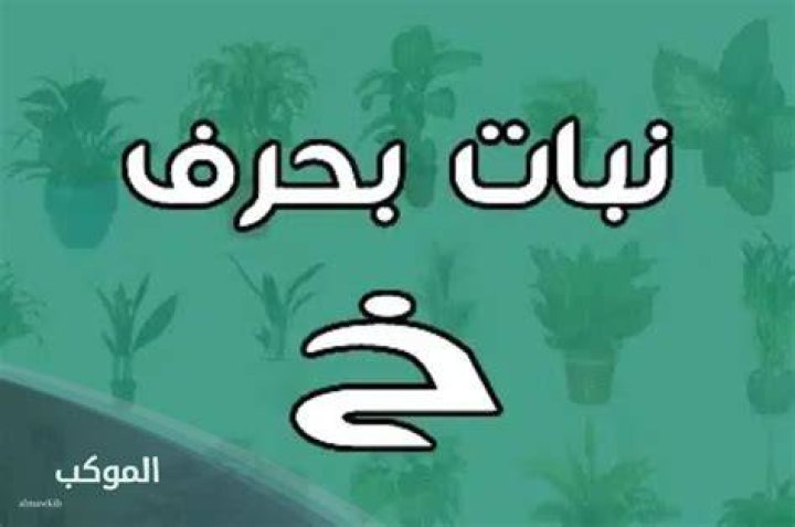 اسم نبات بحرف خ الخاء