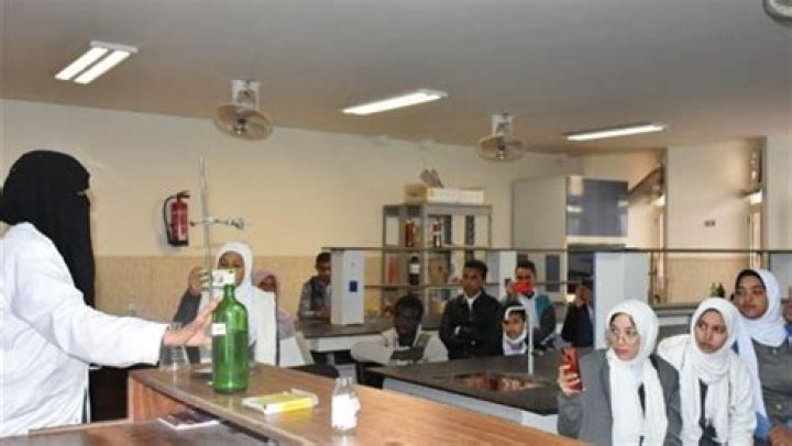 المجالات المتاحة لخريجي كلية دار العلوم