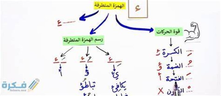 بحث عن الهمزه المتطرفة - موقع فكرة