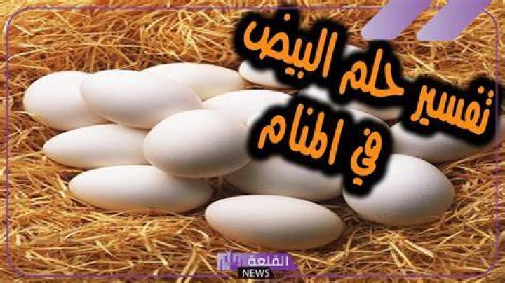 تأويل رؤية البيض في المنام لابن سيرين