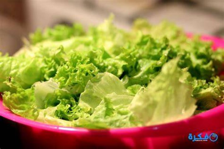 تفسير حلم رؤية الخس في المنام للامام الصادق