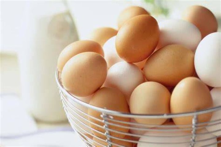 تفسير حلم رؤية جمع البيض في المنام