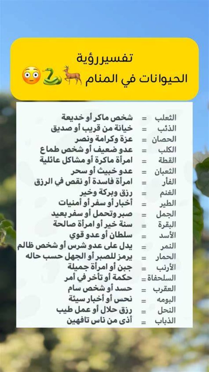 تفسير رؤية الفتة - موقع فكرة