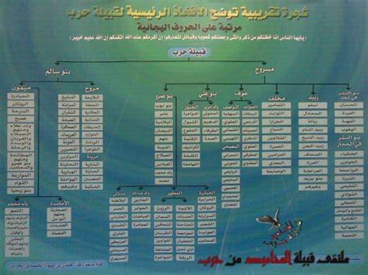شجرة قبيلة حرب الرسمية كاملة بالتفصيل
