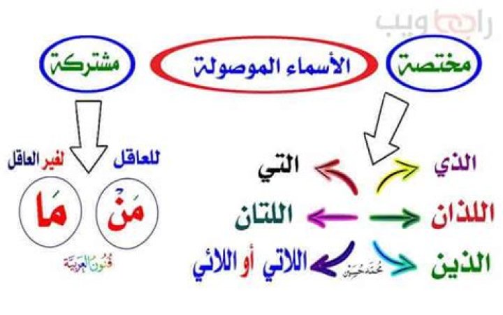 شرح الأسماء الموصولة : إعراب جملة الصلة بالأمثلة والتمارين