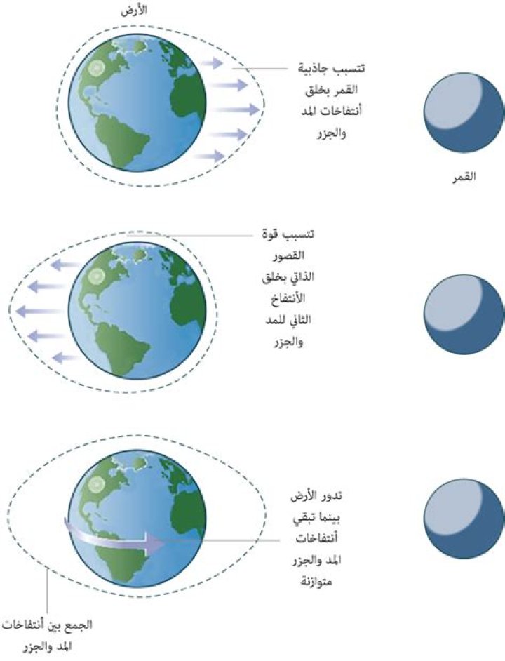 شرح ظاهرة المد والجزر - موقع فكرة