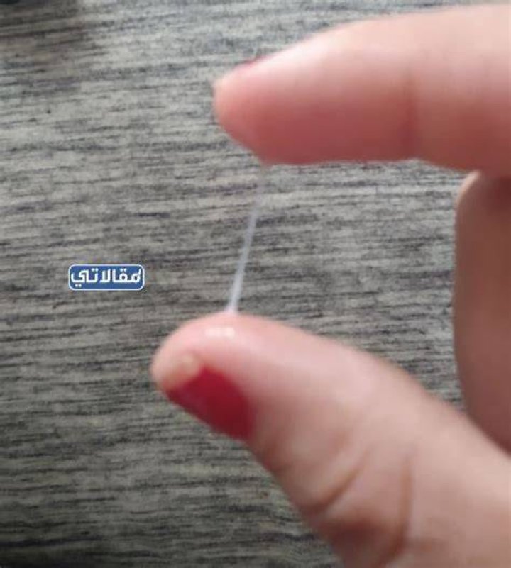 شكل إفرازات تدل على عدم الحمل بالصور ولونها