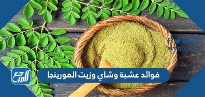 فوائد عشبة وشاي وزيت المورينجا